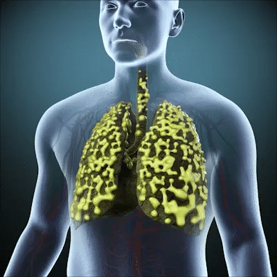 Feature product image